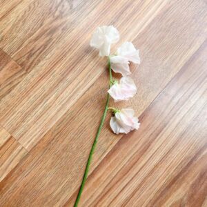 Sweet pea boutonniere
